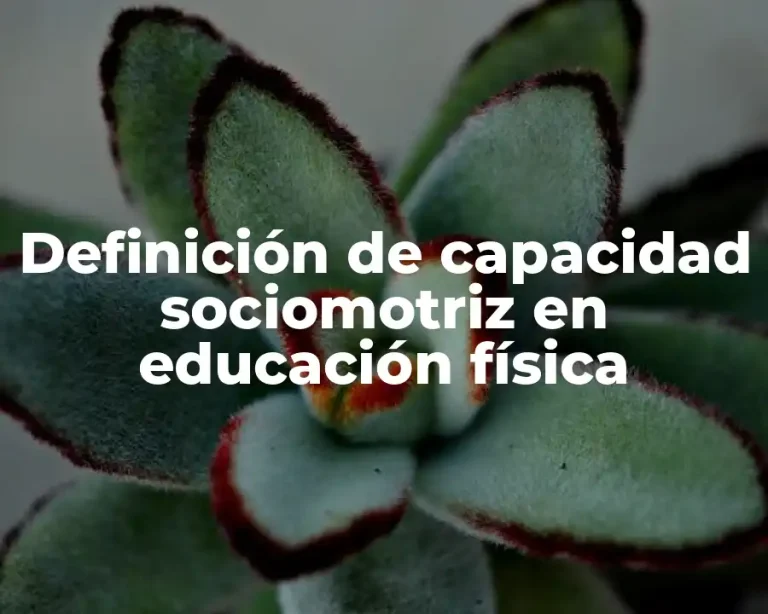Definición de capacidad sociomotriz en educación física