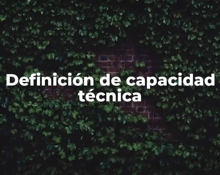 Definición de capacidad técnica