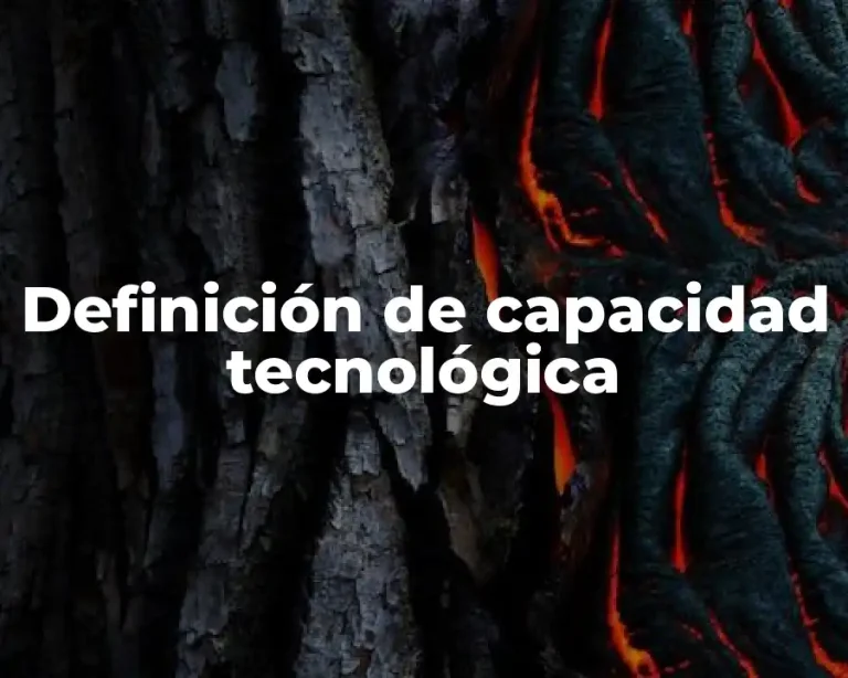 Definición de capacidad tecnológica