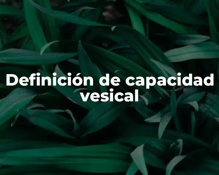 Definición de capacidad vesical