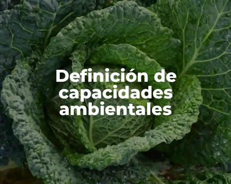 Definición de capacidades ambientales