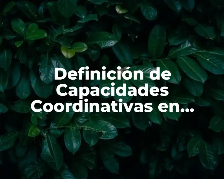 Definición de Capacidades Coordinativas en Educación Física