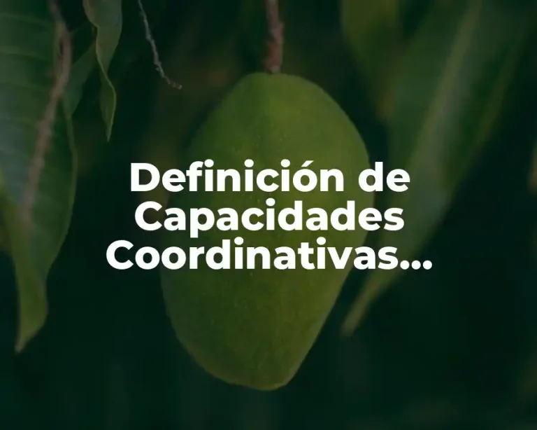 Definición de Capacidades Coordinativas Específicas