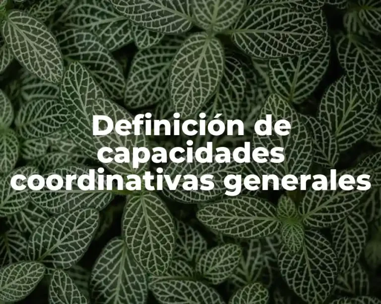 Definición de capacidades coordinativas generales