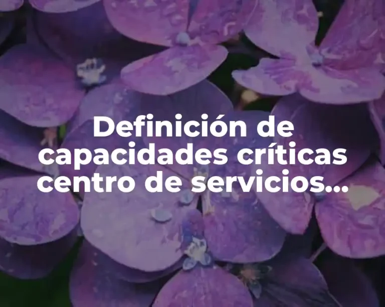 Definición de capacidades críticas centro de servicios compartidos