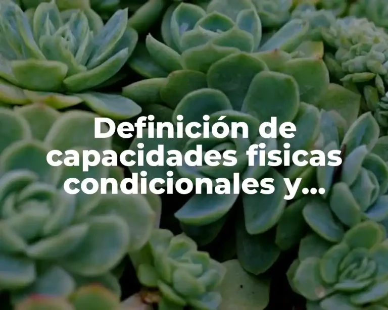 Definición de capacidades fisicas condicionales y coordinativas