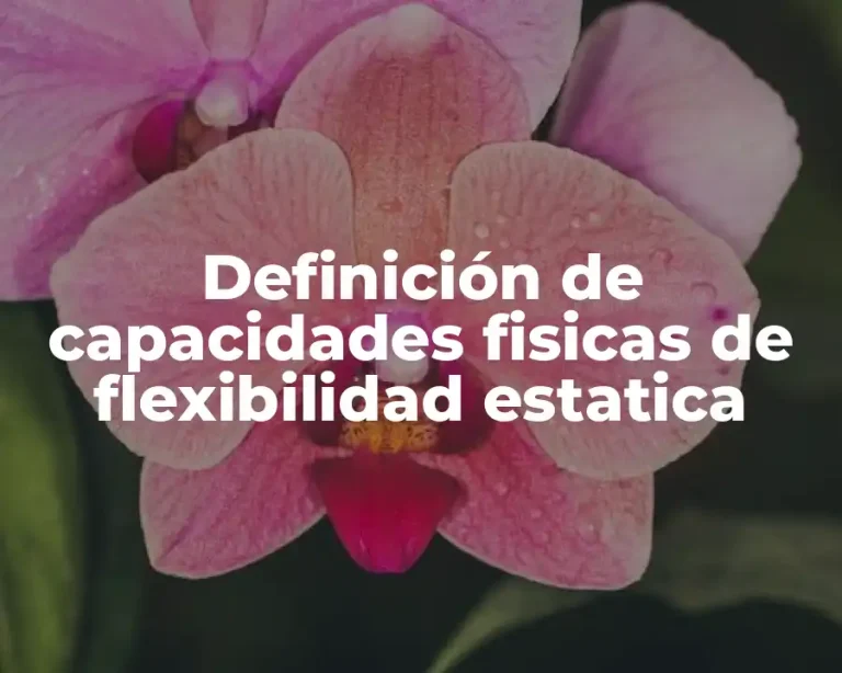 Definición de capacidades fisicas de flexibilidad estatica