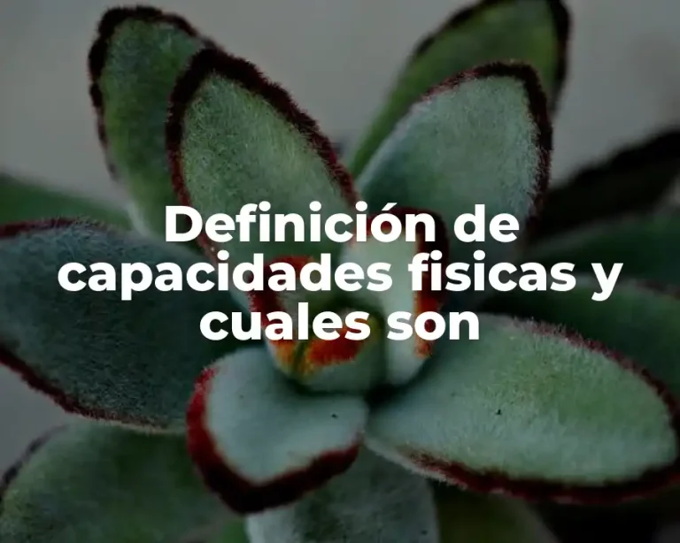 Definición de capacidades fisicas y cuales son