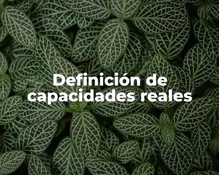 Definición de capacidades reales