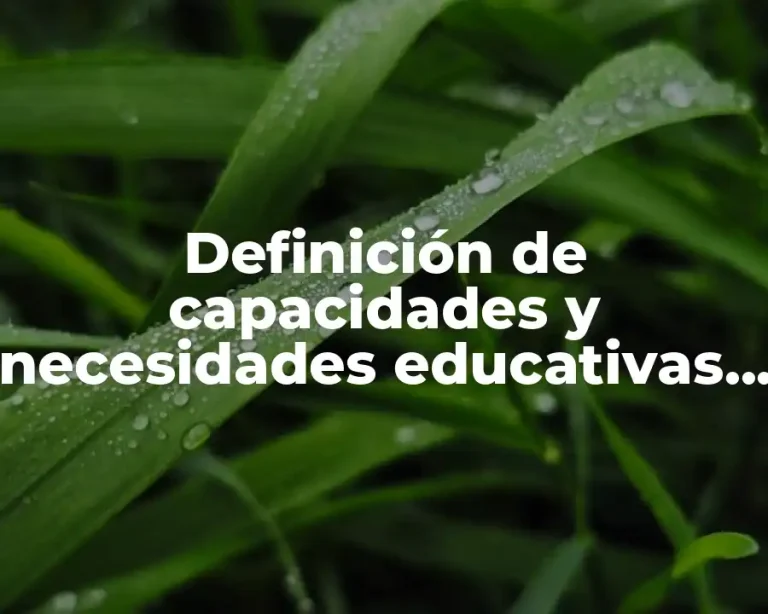Definición de capacidades y necesidades educativas diferentes