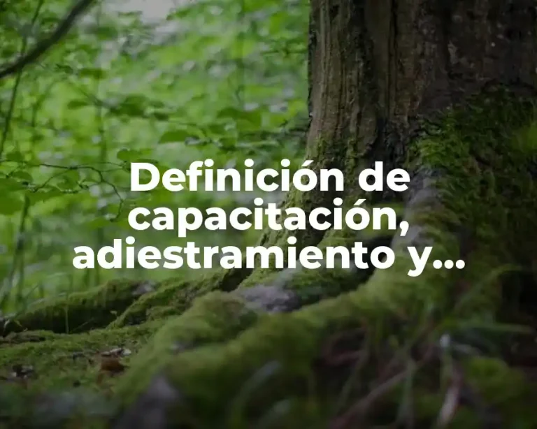 Definición de capacitación, adiestramiento y desarrollo