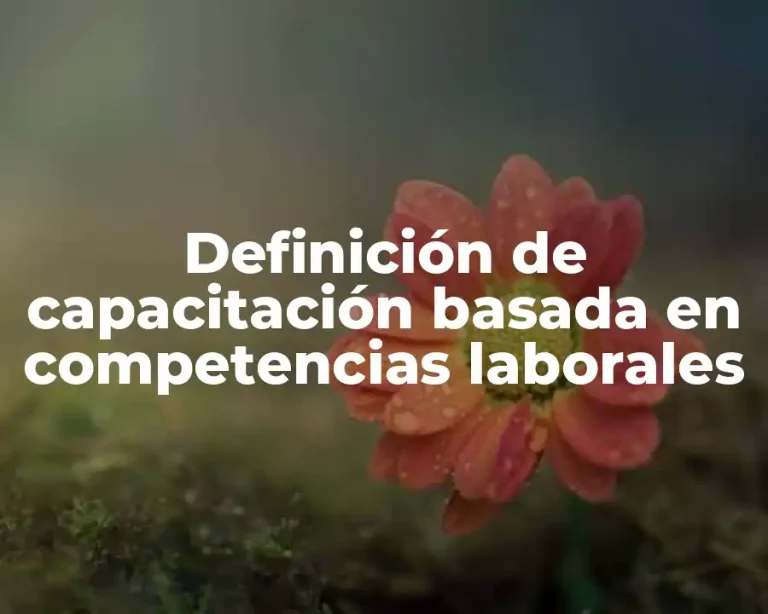Definición de capacitación basada en competencias laborales
