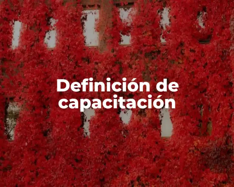 Definición de capacitación