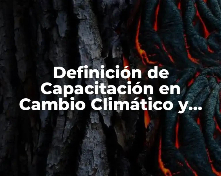 Definición de Capacitación en Cambio Climático y Protección del Medio Ambiente
