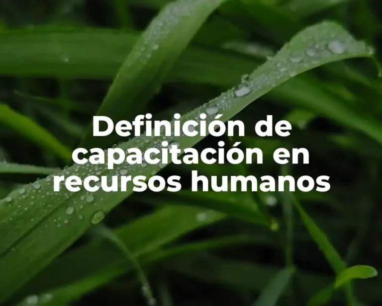 Definición de capacitación en recursos humanos