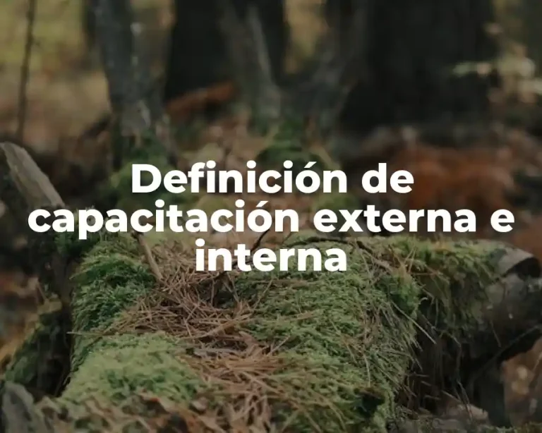 Definición de capacitación externa e interna