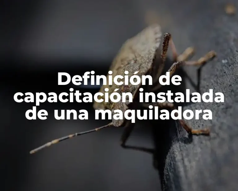 Definición de capacitación instalada de una maquiladora