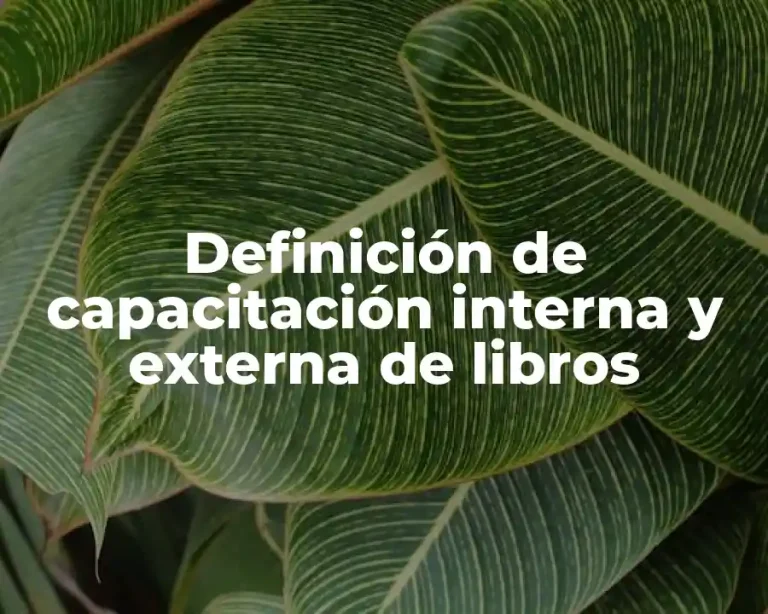 Definición de capacitación interna y externa de libros