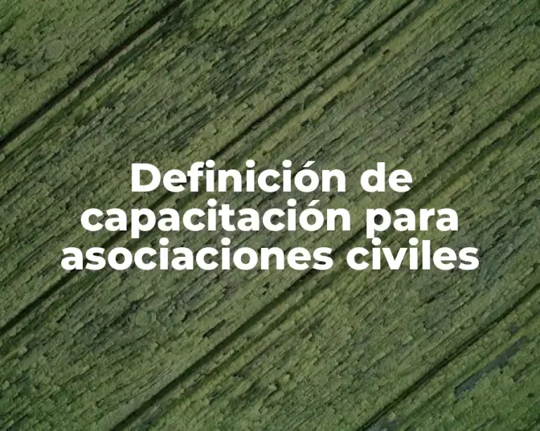 Definición de capacitación para asociaciones civiles