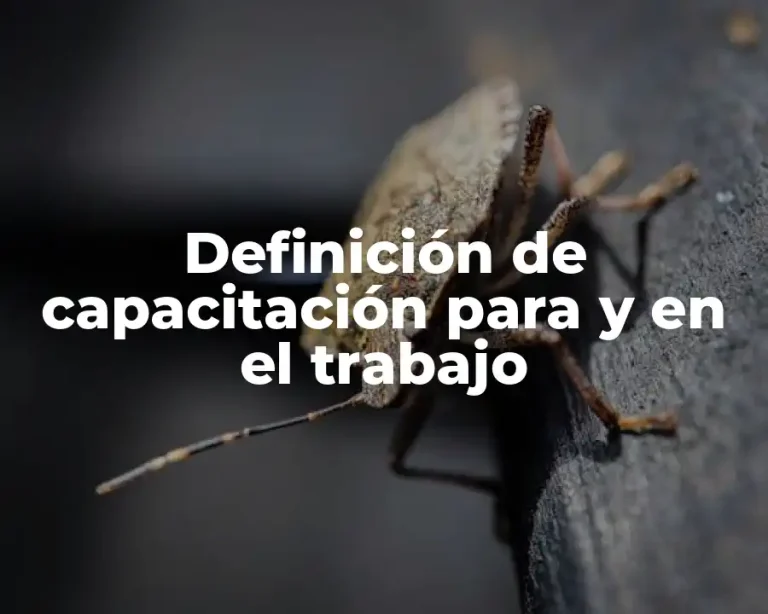 Definición de capacitación para y en el trabajo