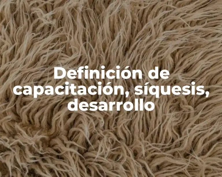 Definición de capacitación, síquesis, desarrollo