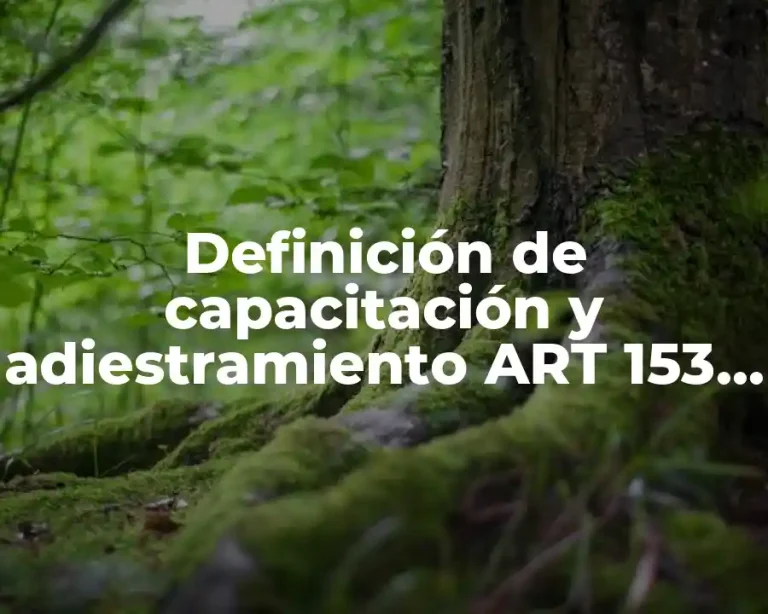 Definición de capacitación y adiestramiento ART 153 LFT