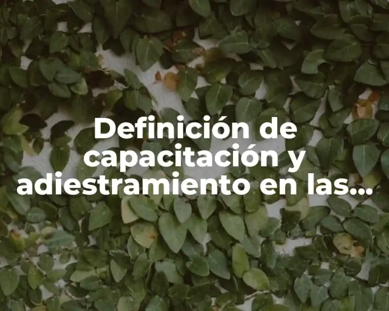 Definición de capacitación y adiestramiento en las organizaciones