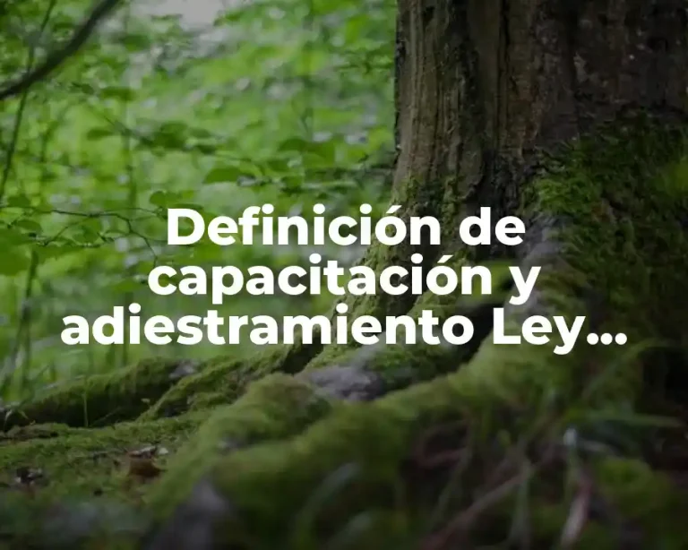 Definición de capacitación y adiestramiento Ley Federal del Trabajo