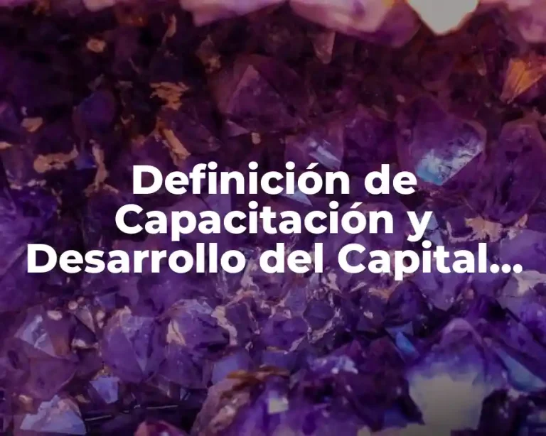 Definición de Capacitación y Desarrollo del Capital Humano