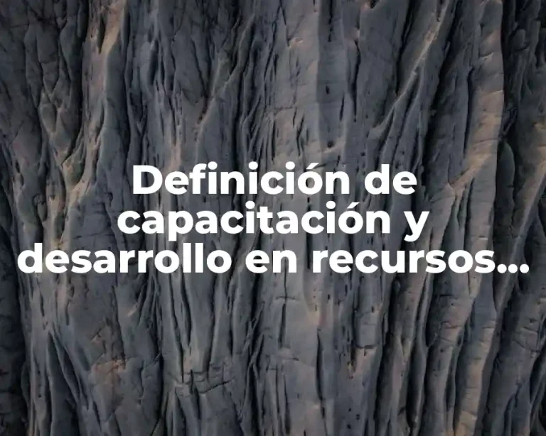 Definición de capacitación y desarrollo en recursos humanos