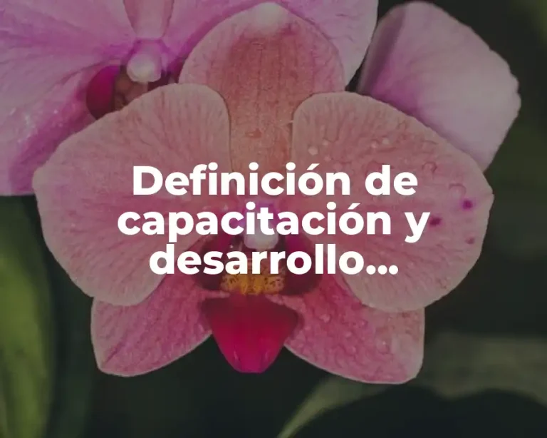 Definición de capacitación y desarrollo organizacional