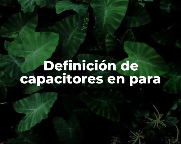 Definición de capacitores en para