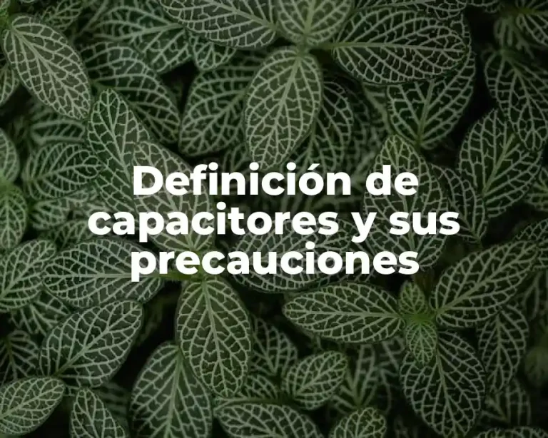 Definición de capacitores y sus precauciones