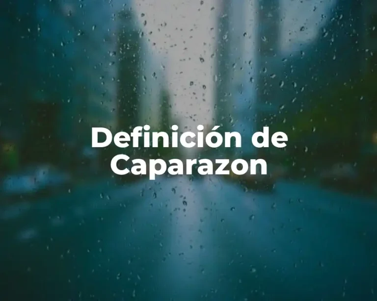 Definición de Caparazon