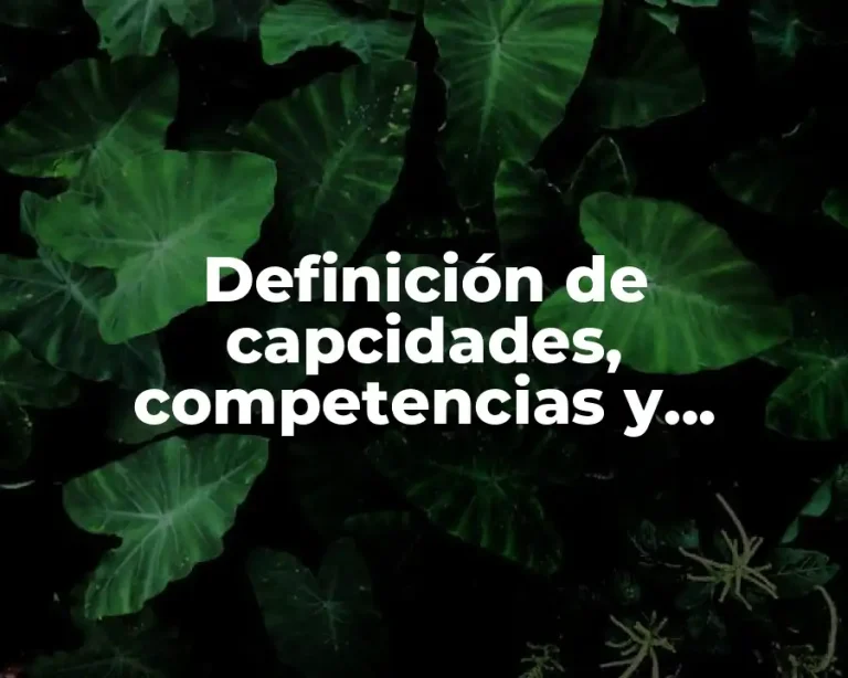 Definición de capcidades, competencias y habilidades motrices