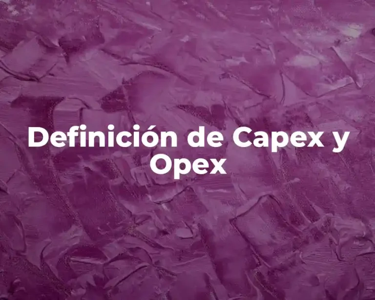 Definición de Capex y Opex
