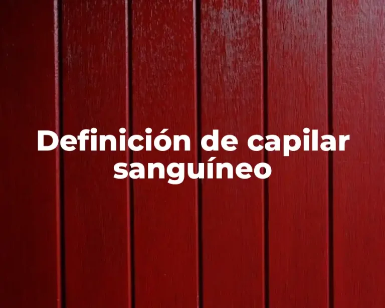 Definición de capilar sanguíneo