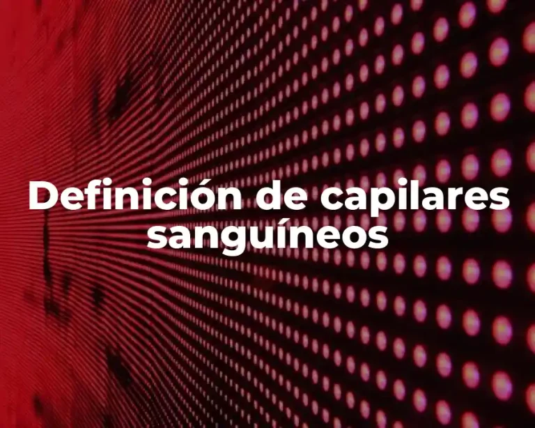 Definición de capilares sanguíneos