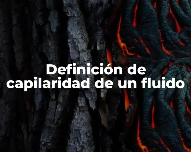 Definición de capilaridad de un fluido