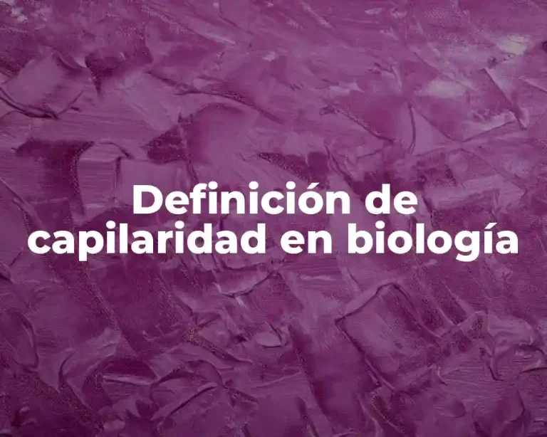 Definición de capilaridad en biología