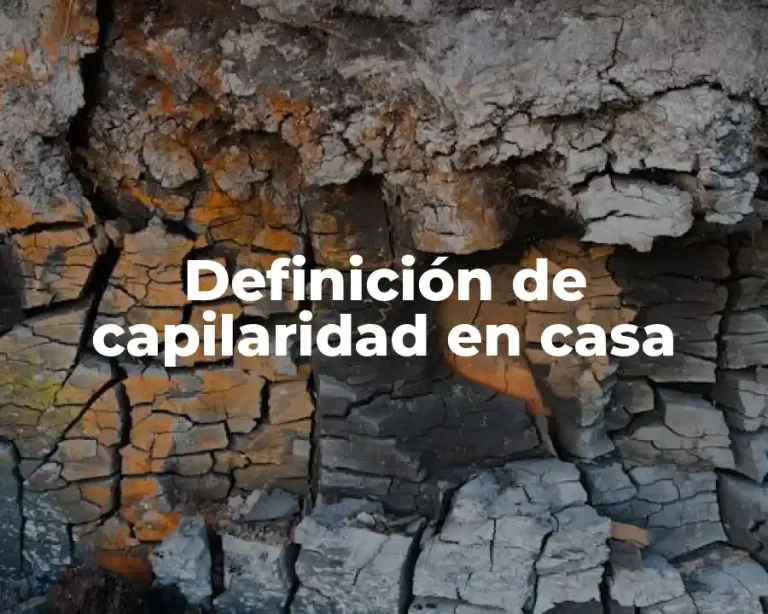 Definición de capilaridad en casa