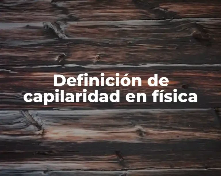 Definición de capilaridad en física