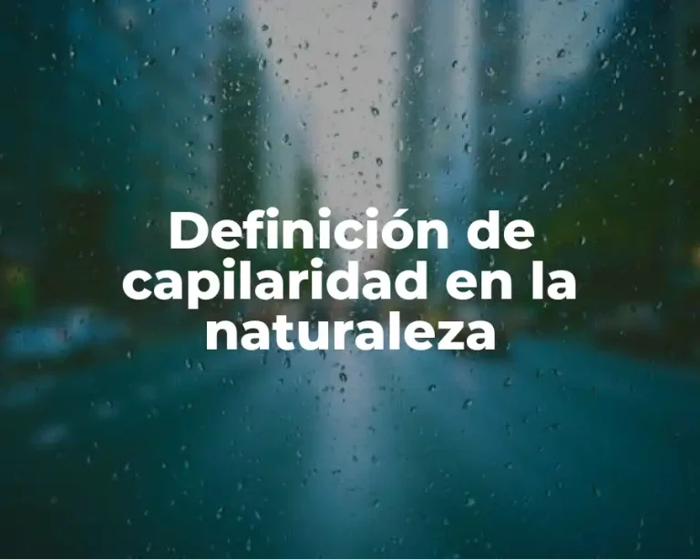 Definición de capilaridad en la naturaleza