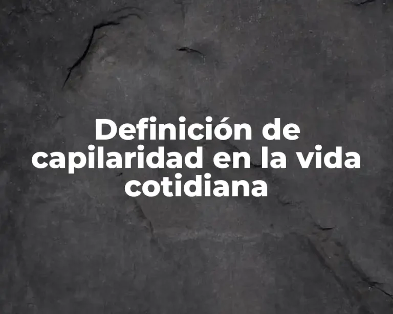 Definición de capilaridad en la vida cotidiana