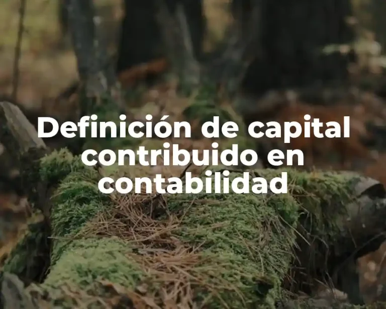 Definición de capital contribuido en contabilidad