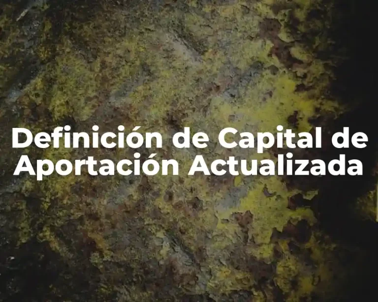 Definición de Capital de Aportación Actualizada
