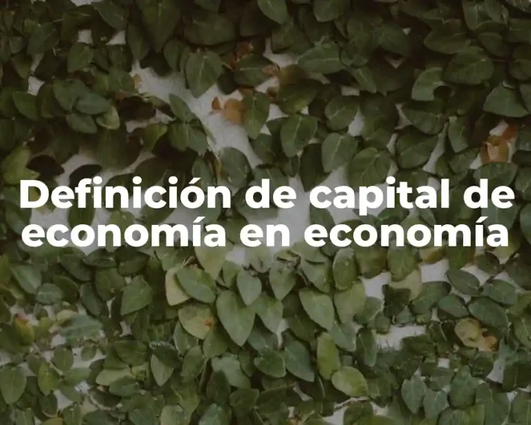 Definición de capital de economía en economía