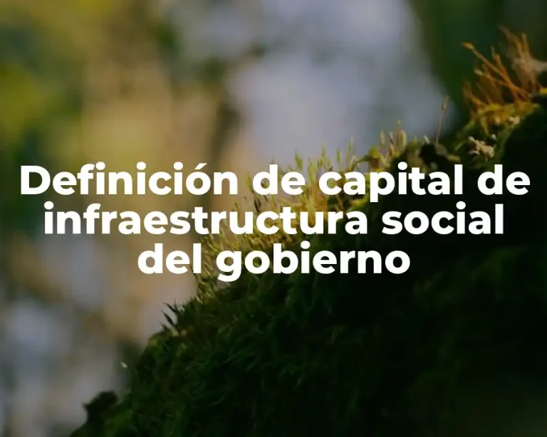Definición de capital de infraestructura social del gobierno