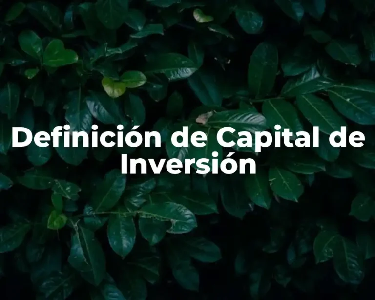 Definición de Capital de Inversión