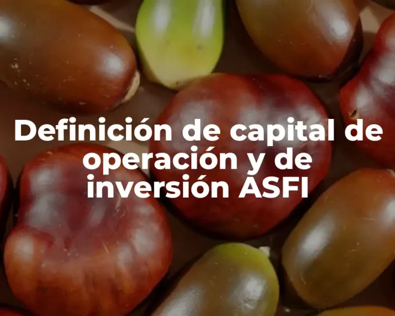 Definición de capital de operación y de inversión ASFI